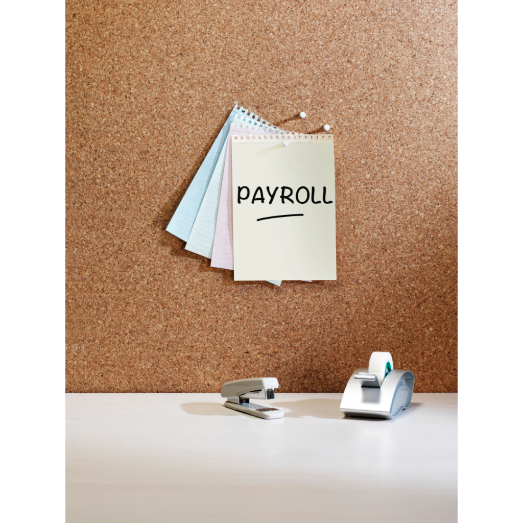 Assisted Payroll